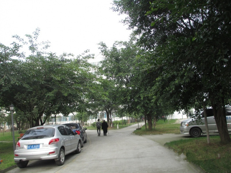 成都市新都區(qū)紅星老年康療院