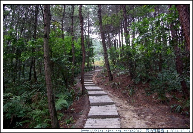 雅靜老年公寓 雅靜老年公寓