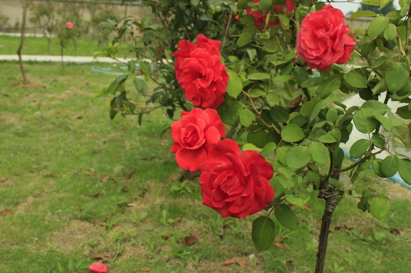 江蘇省連云港市日月心養(yǎng)老院 江蘇省連云港市日月心養(yǎng)老院