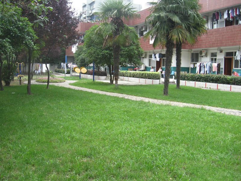 上海市寶山區(qū)泗塘承苗養(yǎng)老院 上海市寶山區(qū)泗塘承苗養(yǎng)老院