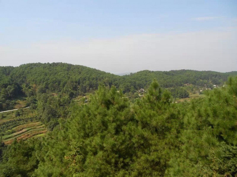 重慶巴南林海人家養(yǎng)老院 重慶巴南林海人家養(yǎng)老院