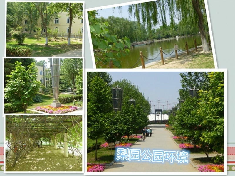 尚佰易國際福祉養(yǎng)老機構(gòu) 尚佰易國際福祉養(yǎng)老機構(gòu)