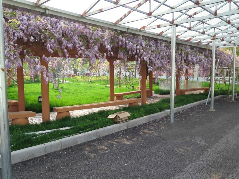 上海市金山區(qū)康樂(lè)福上海鑫陽(yáng)養(yǎng)老院 上海市金山區(qū)康樂(lè)福上海鑫陽(yáng)養(yǎng)老院