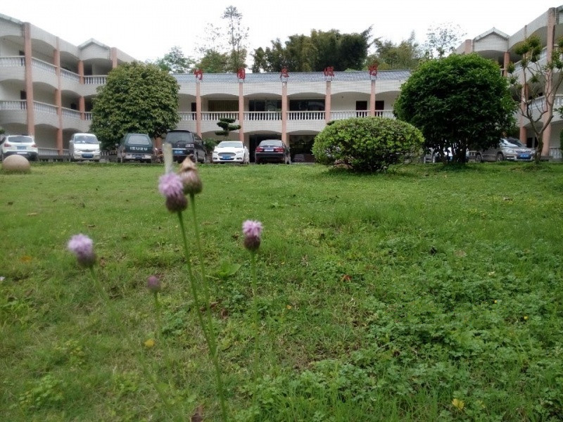 竹園頤老養(yǎng)生村 竹園頤老養(yǎng)生村