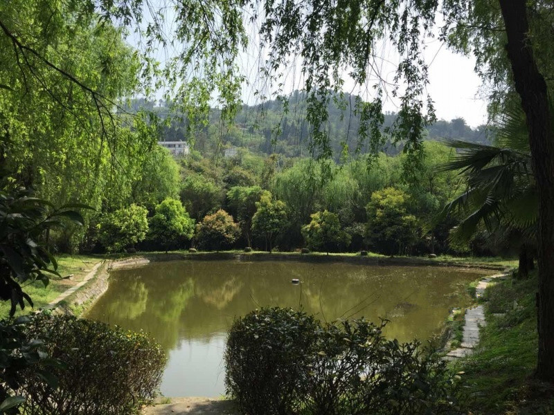 竹園頤老養(yǎng)生村 竹園頤老養(yǎng)生村