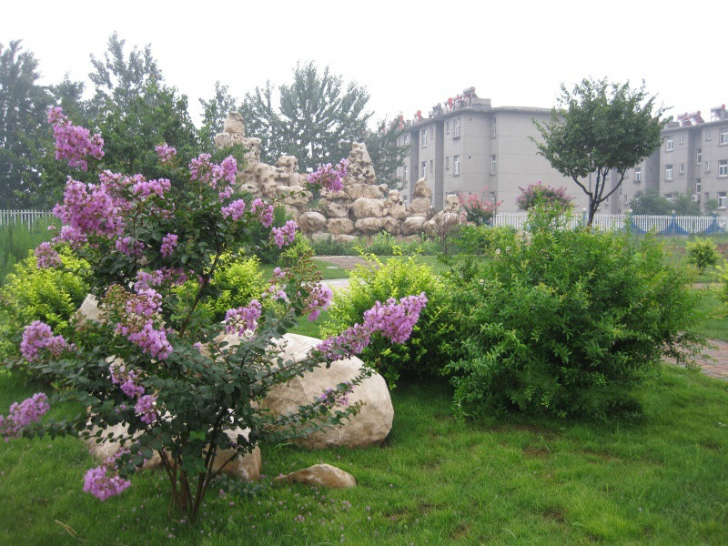 鴻泰緣頤養(yǎng)中心 鴻泰緣頤養(yǎng)中心