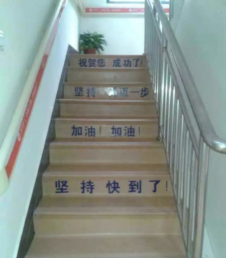 康乃馨老年養(yǎng)護(hù)中心 康乃馨老年養(yǎng)護(hù)中心