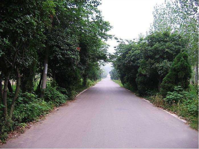 淮南桃園居老年公寓 淮南桃園居老年公寓