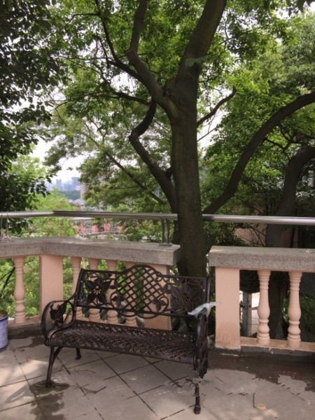 貴陽市云巖區(qū)祈曦養(yǎng)老院