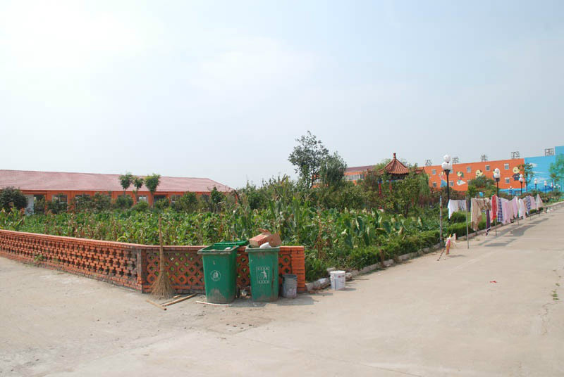 青島市夕陽紅老年公寓 青島市夕陽紅老年公寓