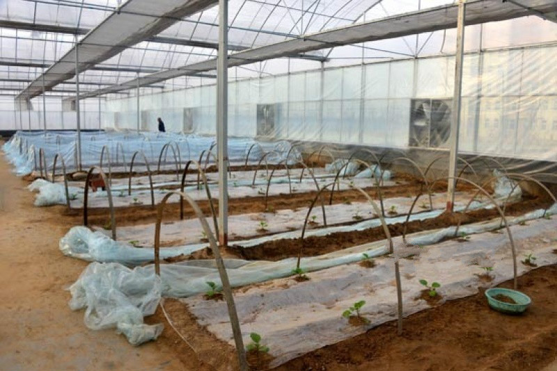 山東民康養(yǎng)護院養(yǎng)老院有限公司