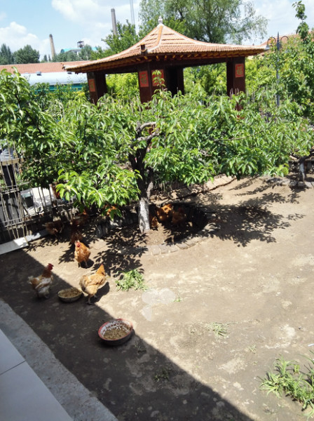 山西老來(lái)樂(lè)養(yǎng)老院 山西老來(lái)樂(lè)養(yǎng)老院