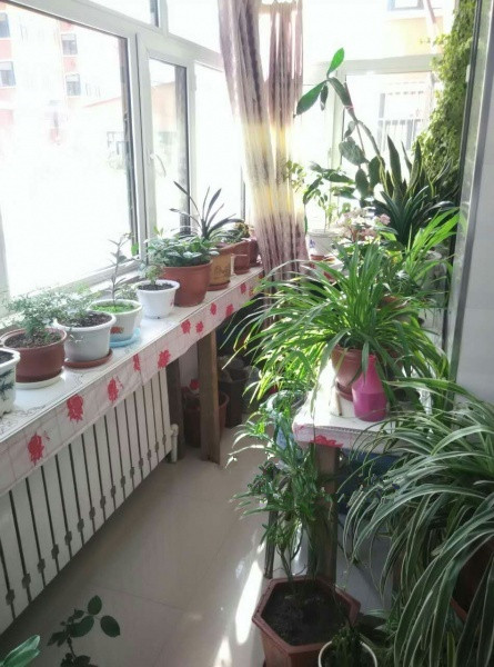 誠(chéng)信老年公寓 誠(chéng)信老年公寓