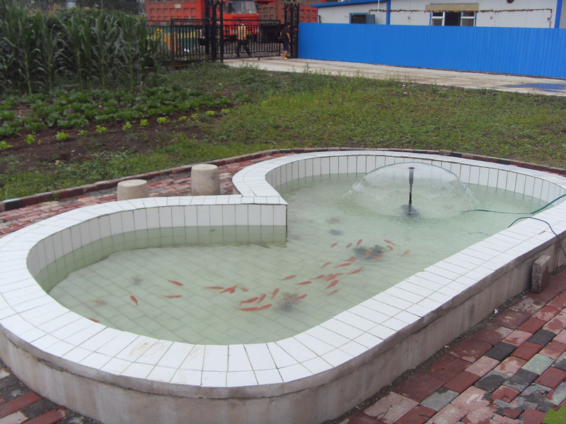 長(zhǎng)春市馨欣養(yǎng)老院 長(zhǎng)春市馨欣養(yǎng)老院