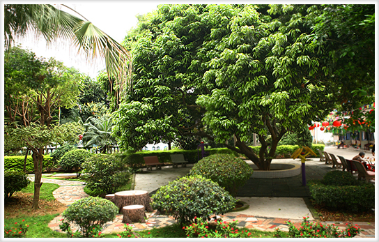 廣東省東莞市樟木頭鎮(zhèn)真情護老院