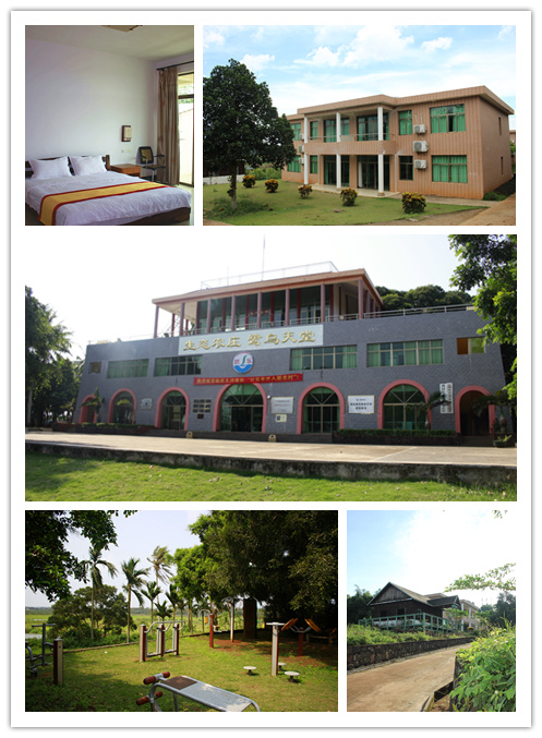 海南愛來田心生態(tài)農(nóng)莊 海南愛來田心生態(tài)農(nóng)莊