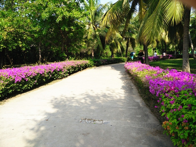 三亞白鷺海之家老年公寓 三亞白鷺海之家老年公寓