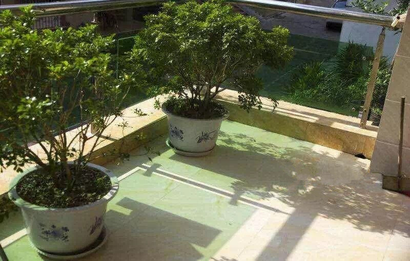 三亞隆富老人之家度假公寓 三亞隆富老人之家度假公寓