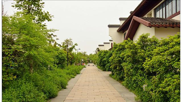 杭州市皋亭山養(yǎng)老院 杭州市皋亭山養(yǎng)老院