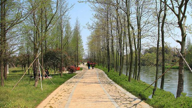 杭州市皋亭山養(yǎng)老院 杭州市皋亭山養(yǎng)老院