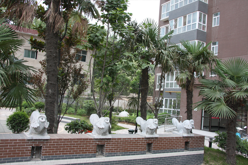 西安秋時(shí)文化老年公寓 西安秋時(shí)文化老年公寓