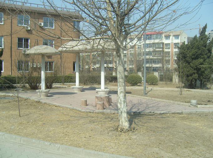 天津市西青區(qū)張家窩鎮(zhèn)養(yǎng)老院 天津市西青區(qū)張家窩鎮(zhèn)養(yǎng)老院