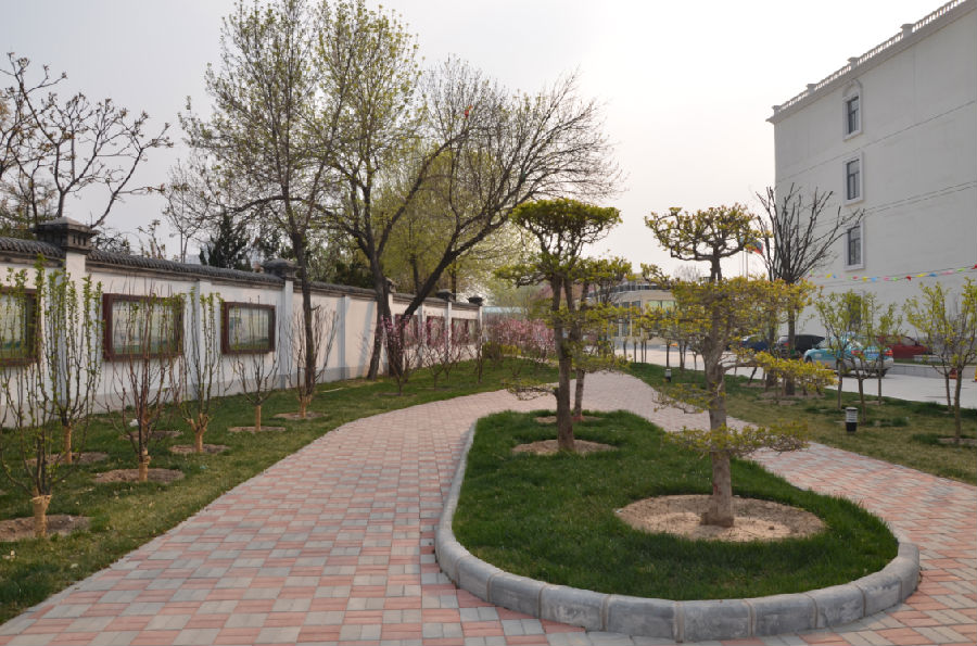 天津市南開區(qū)養(yǎng)老中心 天津市南開區(qū)養(yǎng)老中心