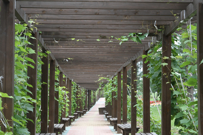 鑫夕陽溫泉康復(fù)養(yǎng)老院 鑫夕陽溫泉康復(fù)養(yǎng)老院