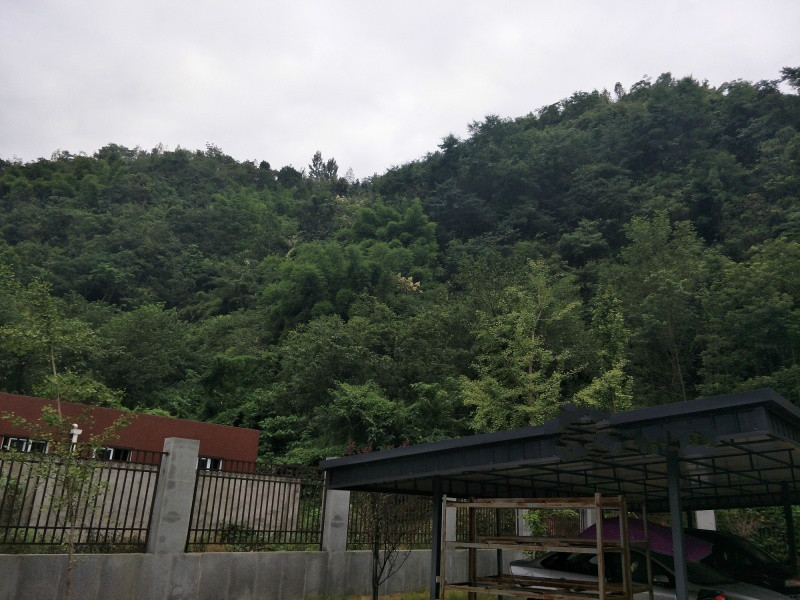 成都大邑春色康養(yǎng)中心 成都大邑春色康養(yǎng)中心