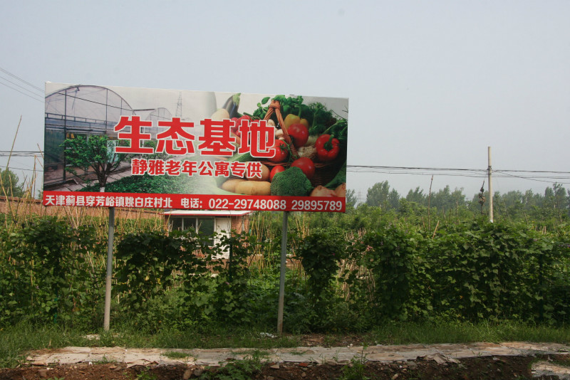 靜雅老年公寓 靜雅老年公寓