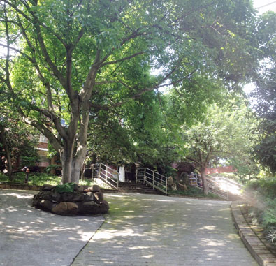 南岸松林養(yǎng)老院 南岸松林養(yǎng)老院