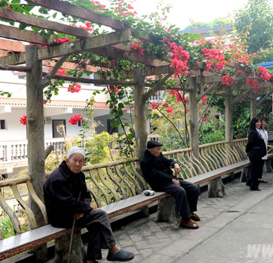 江津白沙壽星公寓 江津白沙壽星公寓