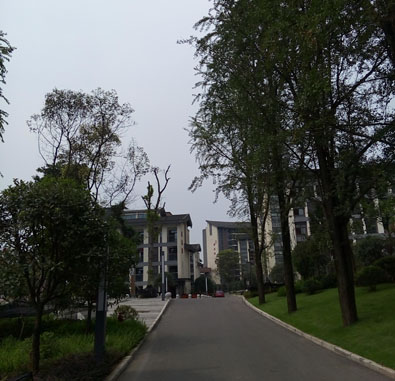 重慶市第一社會(huì)福利院 重慶市第一社會(huì)福利院