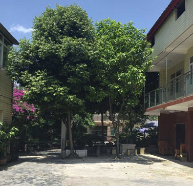 重慶市沙坪壩區(qū)錦陽佳苑 重慶市沙坪壩區(qū)錦陽佳苑