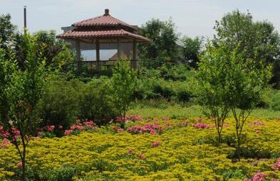 北京市大興區(qū)頤樂養(yǎng)老院 北京市大興區(qū)頤樂養(yǎng)老院