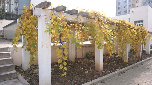 濟(jì)南頤和護(hù)理院 濟(jì)南頤和護(hù)理院