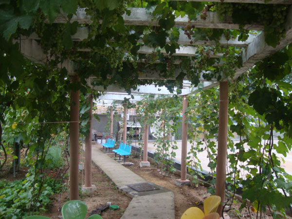 城陽嘉馨養(yǎng)老院 城陽嘉馨養(yǎng)老院