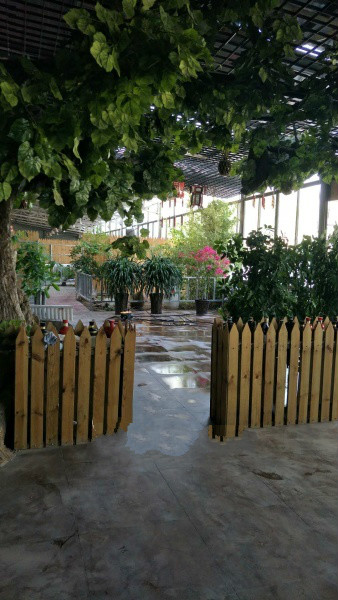 老來福生態(tài)養(yǎng)老院