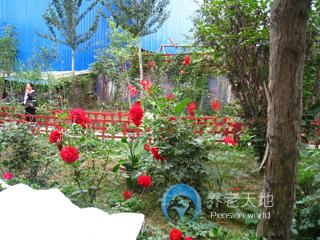 西安市長(zhǎng)安區(qū)沁春園養(yǎng)老院