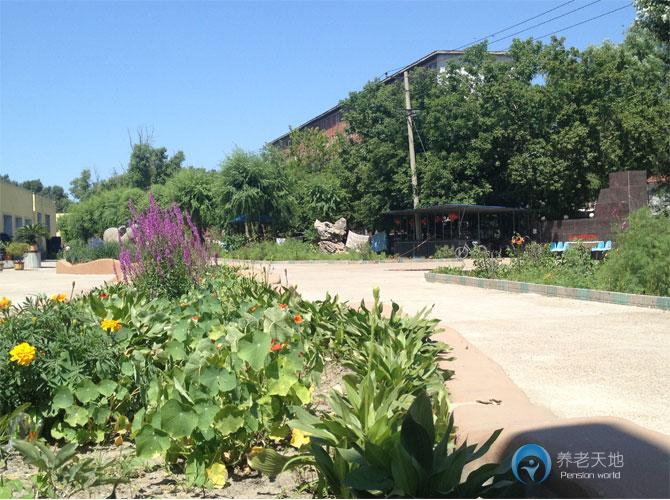 齊齊哈爾市夕陽(yáng)紅托養(yǎng)院 齊齊哈爾市夕陽(yáng)紅托養(yǎng)院