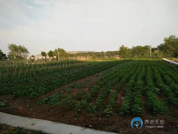 撫順市晨光養(yǎng)老院 撫順市晨光養(yǎng)老院