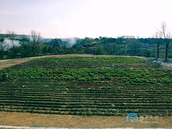 撫順市晨光養(yǎng)老院 撫順市晨光養(yǎng)老院