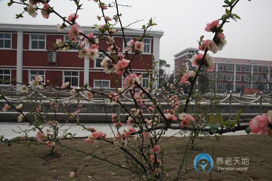 上海市金山區(qū)東林養(yǎng)老院 上海市金山區(qū)東林養(yǎng)老院