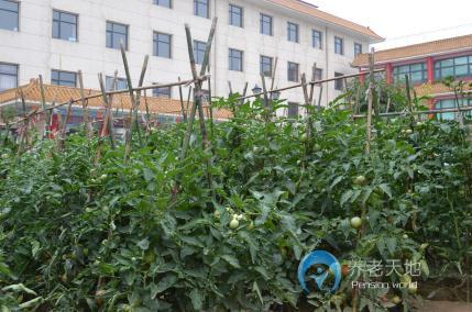 石家莊祥云生態(tài)養(yǎng)老公館 石家莊祥云生態(tài)養(yǎng)老公館