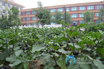 石家莊祥云生態(tài)養(yǎng)老公館 石家莊祥云生態(tài)養(yǎng)老公館