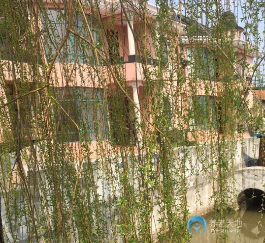 上海孝莊養(yǎng)老院 上海孝莊養(yǎng)老院