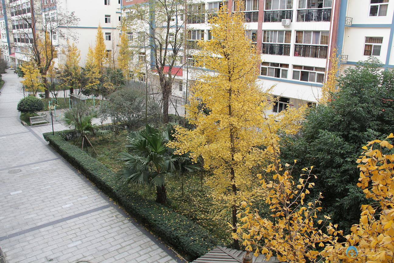 成都西蜀康馨緣頤養(yǎng)中心 成都西蜀康馨緣頤養(yǎng)中心