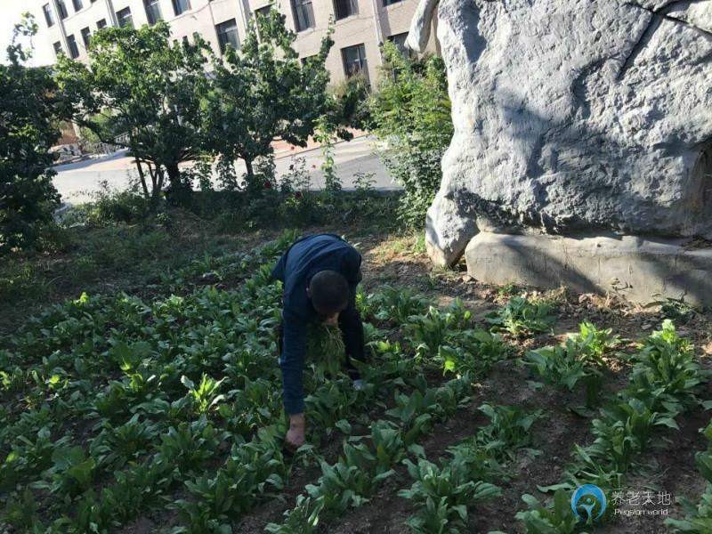 大連西郊養(yǎng)老院 大連西郊養(yǎng)老院