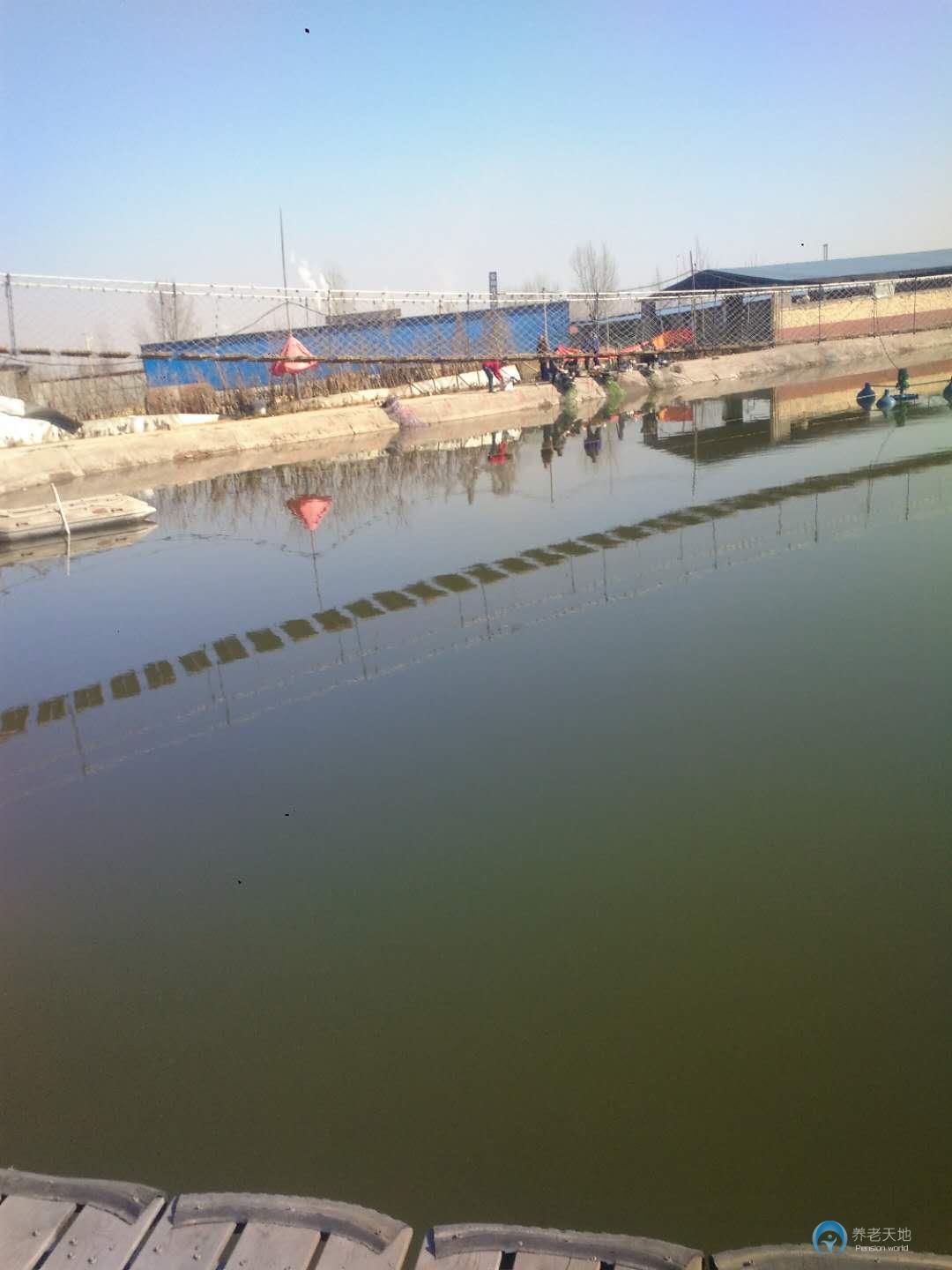 安陽(yáng)夕陽(yáng)無限老年公寓 安陽(yáng)夕陽(yáng)無限老年公寓