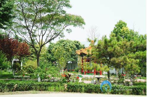 北京市朝陽區(qū)頤園老年公寓 北京市朝陽區(qū)頤園老年公寓